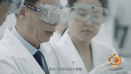 NBA投注